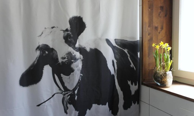 Boenigen Apartment | The Mad Cow