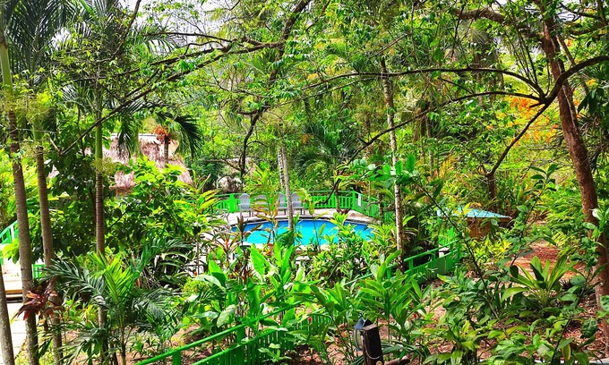 San Ignacio Cabin | The Maya Mountain Lodge