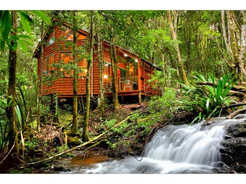 Springbrook Cabin | The Mouses House Rainforest Retreat