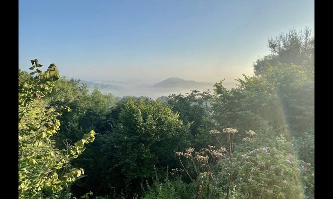 Colerne Cabin | The Nest at Gilling Grove - stunning treetop views