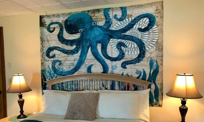 Bennington Apartment | The Octopus's Garden