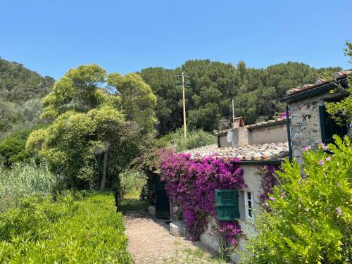 Magazzini Villa | The Old Mill with Private Garden and Torrent