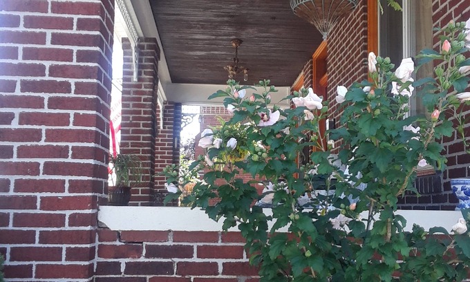 Leechburg Bed & Breakfast | The Old Parsonage B&B