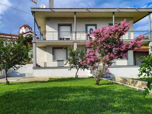 Dhikella Apartment | The Olive House