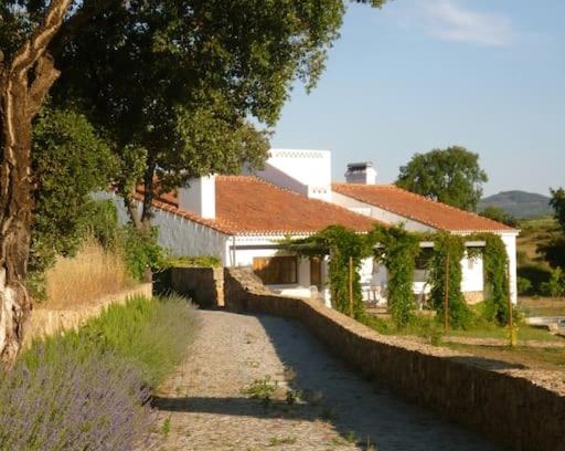 Castelo de Vide Villa | THE OLIVE PRESS - Alentejo