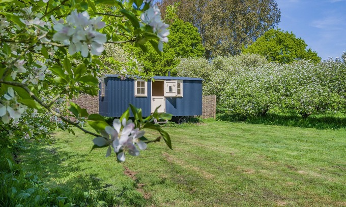 Deepdale House | The Orchard Hut - One Bedroom House, Sleeps 2