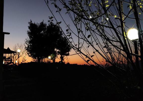Rajgarh Bed & Breakfast | The Orchard