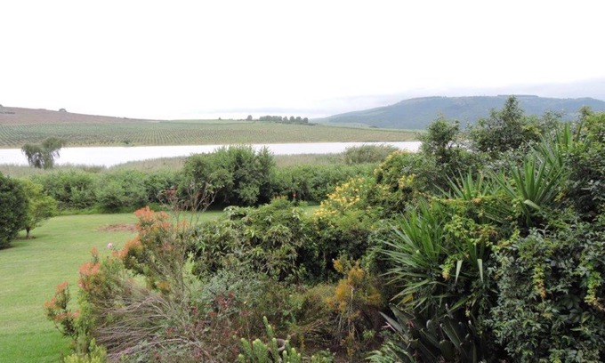 Camperdown Bed & Breakfast | The Owl House