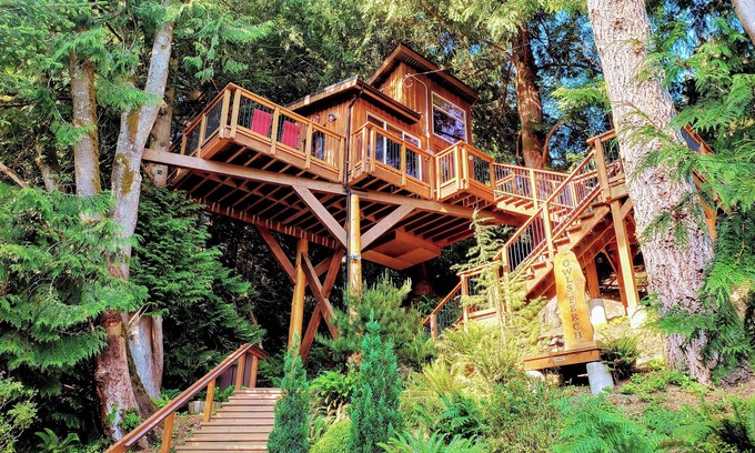 Sooke House | The Owl’s Perch Treehouse ~ Luxury Treetop Escape