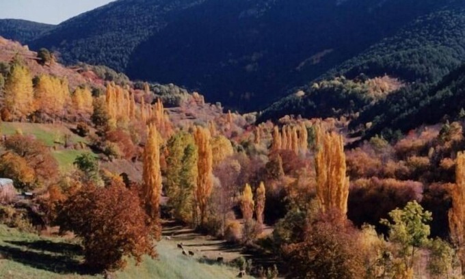 Llagunes Cottage | The pallé de cal bosch, spacious rural apartment with magnificent views, Pyrenees