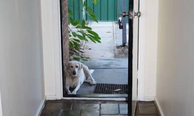 Spalding House | The Palm House:GERALDTON Great value short stay accomodation