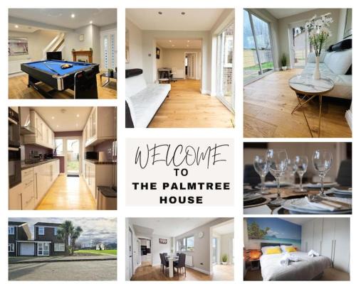 St Ives House | The Palm Tree House