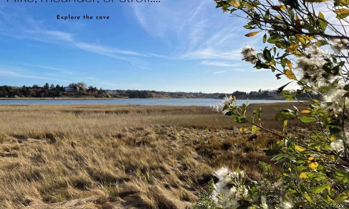 Eastham House | The Pet-Friendly Surf Shack Hideaway on the Cove