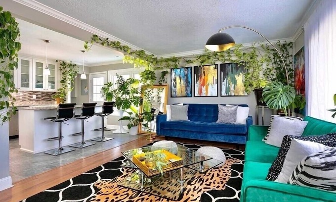 St. Louis House | THE PLANT SANCTUARY 🌱