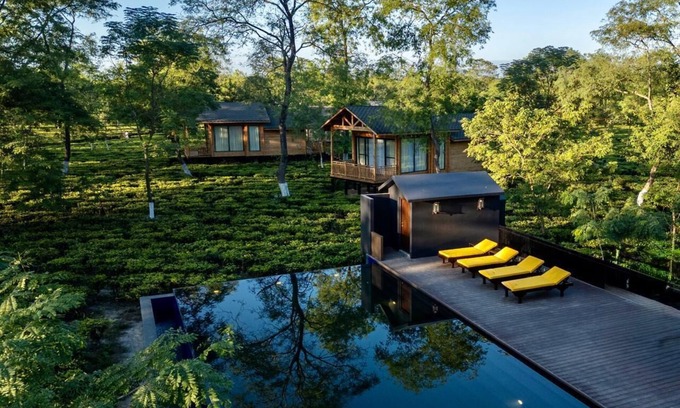 Balipara Hotel | The Postcard in the Durrung Tea Estate