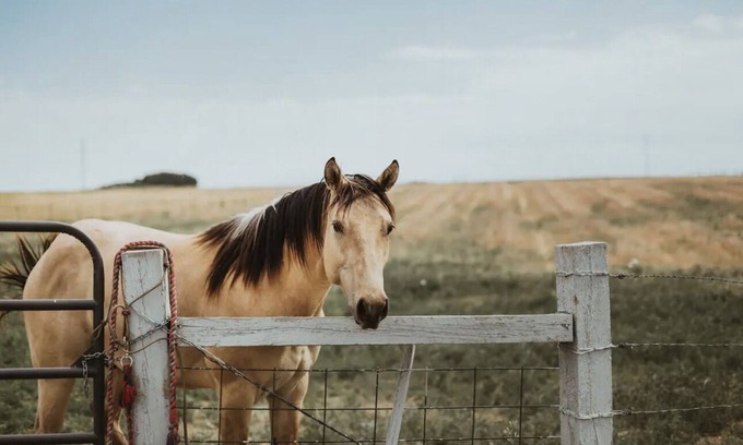 Hudson Other | The Red Farm House on Colorado Horse Ranch. Country living close to Denver!