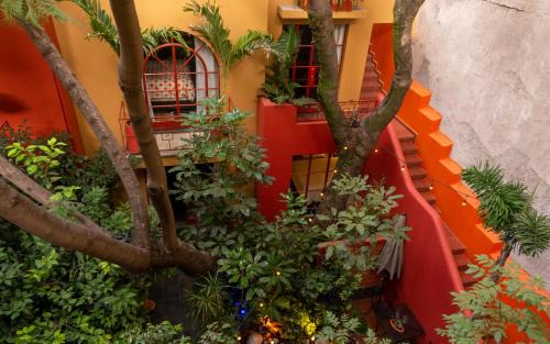 Hipodromo Bed & Breakfast | The Red Tree House
