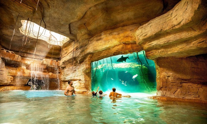Paradise Island Resort | The Reef at Atlantis