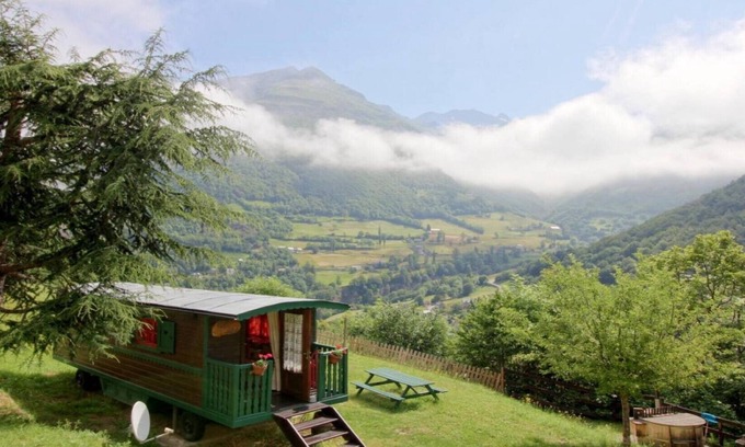Gedre House | The Rhododendron trailer