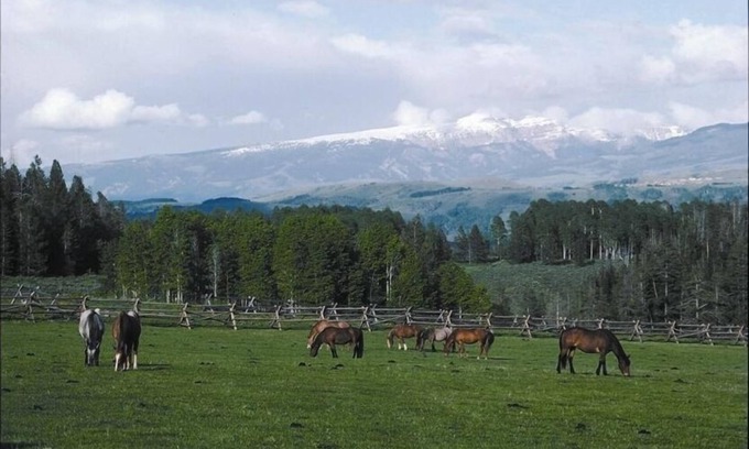 Wilson Cabin | The Ritz at the Historic Trail Creek Ranch