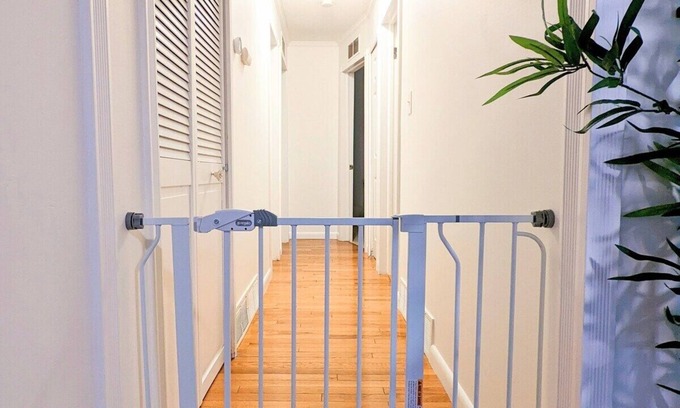 Birmingham House | The Rock - Cozy Ranch minutes from Downtown Birmingham and Royal Oak