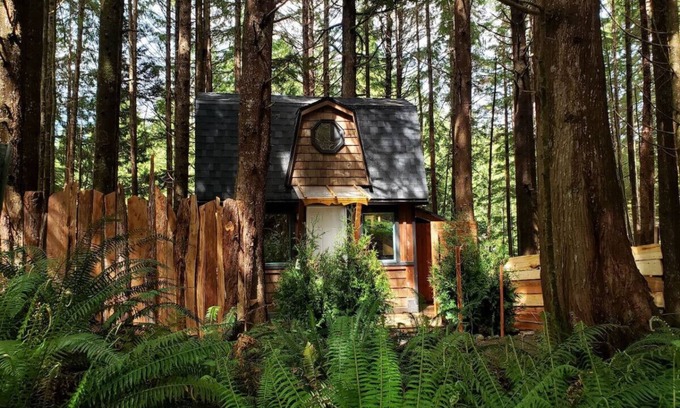 Ucluelet Cabin | The Sapling Cabin by Evergreen Forest Cabins
