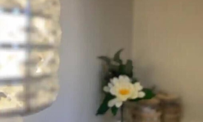 Yellow Springs Apartment | The Serling