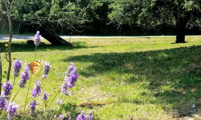 Port Angeles East RV Rental | The Simple Life - camp space w/wi-fi & flexibility