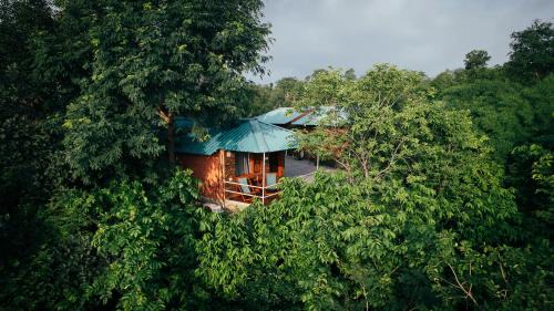 Kumbhalgarh Resort | The Sky Imperial Jungle Camp Resort