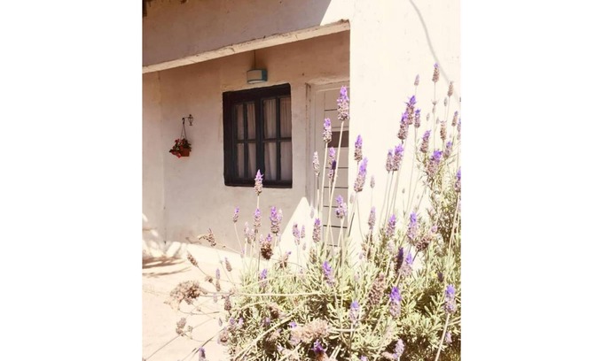 Mar del Plata Apartment | The Square MDQ