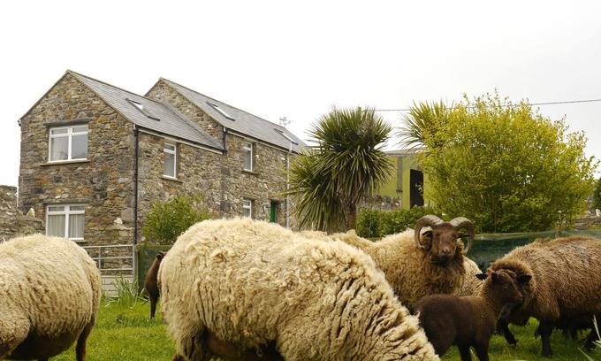 Cregneish Apartment | The Stable is a recently converted barn on a family run dairy and sheep farm situated near Port Erin