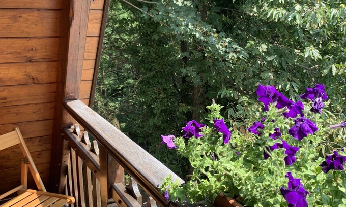 Roccapietra Ski Chalet | The Taragn detached chalet