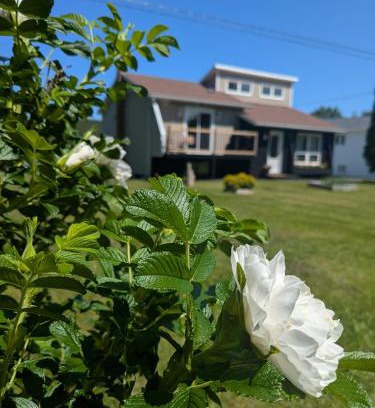 Terra Nova House | The Tidehouse