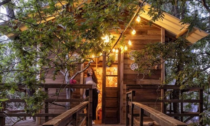 Albergaria-a-Velha House | The Tree House Alameda