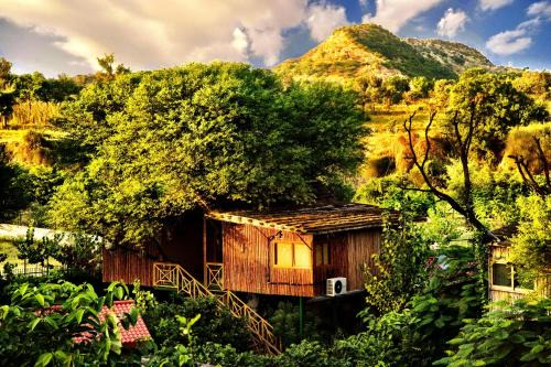 Jaipur District Resort | The Tree House Resort, A Club Mahindra Associate