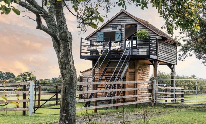 Broughton Hackett Other | The Treehouse at Humblebee Hall