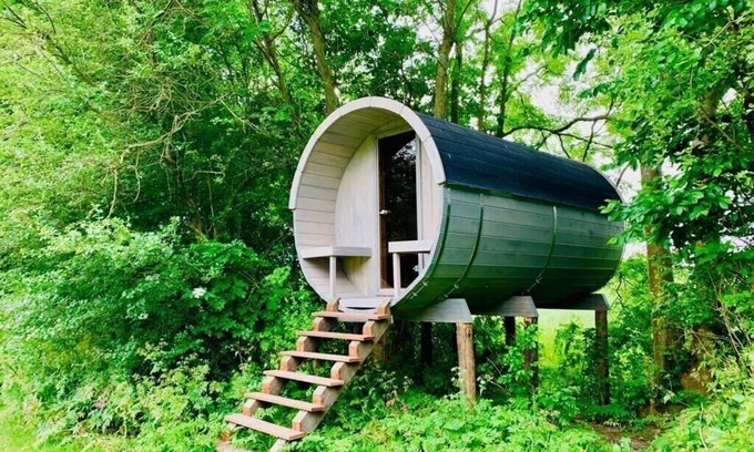 Nigtevecht Cabin | The Treehouses – Two Cozy Nature Escapes Near Amsterdam