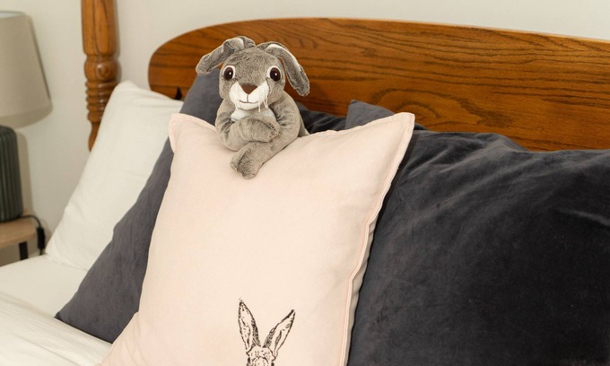 Banff Apartment | The Ugly Bunny Guest House | King Bed