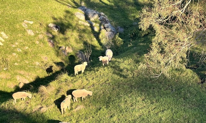 Central Tilba House | The Valley House - Pet Friendly Farm in the heart of Tilba