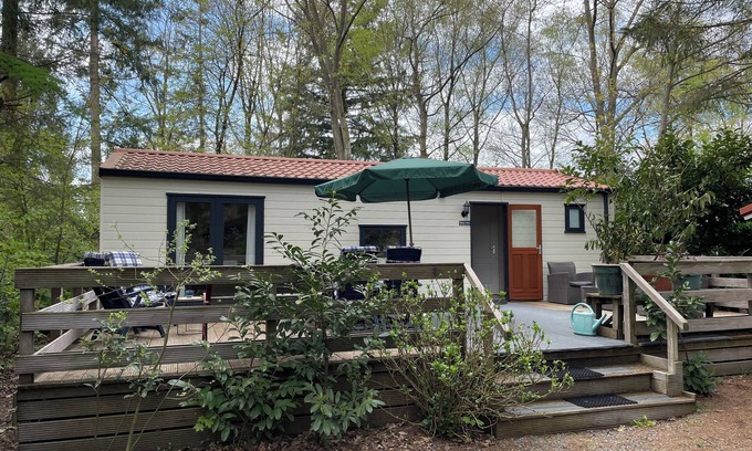 Municipality of Epe Ski Chalet | The Veluwe Vibes: comfortable chalet on spacious site in nature