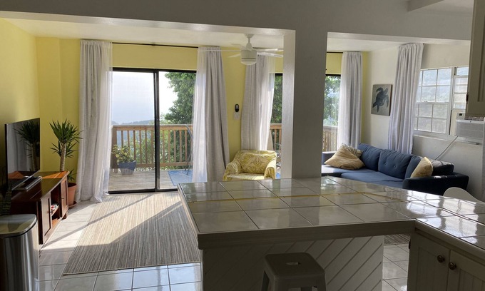 Estate Frenchman Bay Apartment | The View 2💦 🌴 🌞
