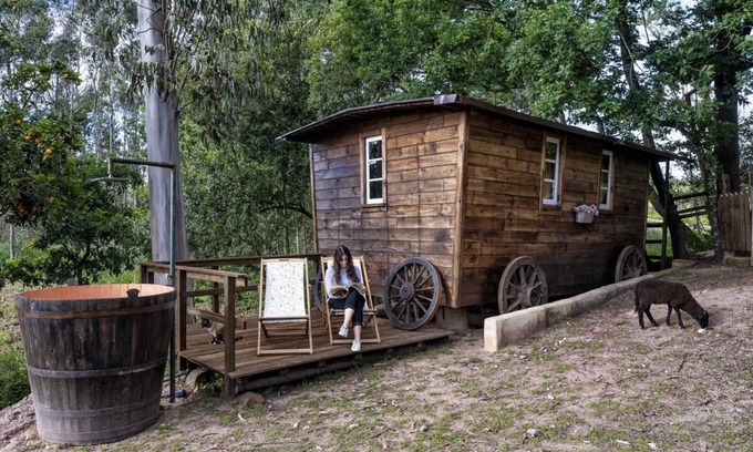 Albergaria-a-Velha Other | The Western Wagon