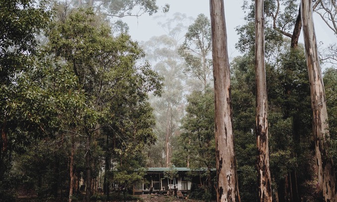 Quinninup Cabin | The woodkeeper's Cabin, Quinninup, Karri Forest Getaway in Western Australia