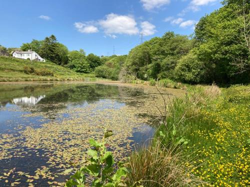 Mawr Apartment | The Wrens Nest