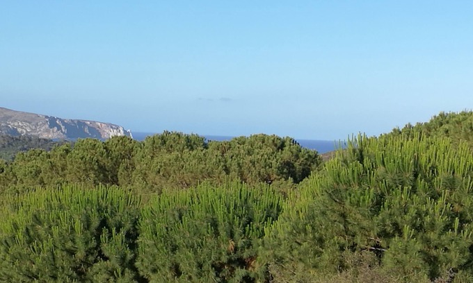 Fluminimaggiore Villa | The Yellow House - detached villa