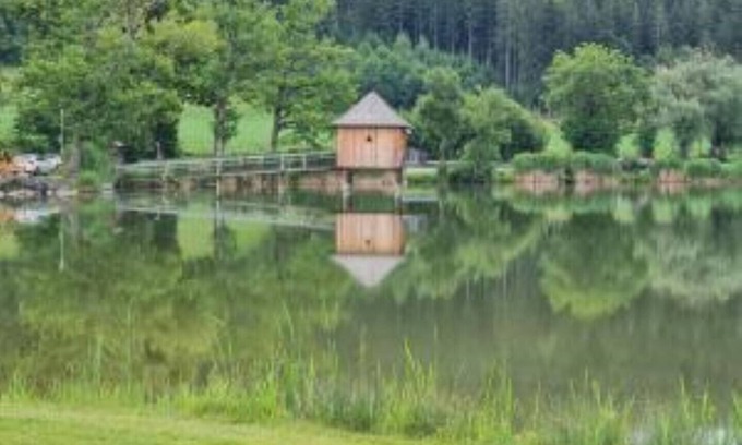 Sankt Veit an der Glan Apartment | The1st Guesthouse "Apartment Maultasch Style" with terrace and lake view