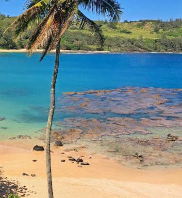 Kilauea House | This is it! Dreamy Beach, Stunning Views, Awesome Location