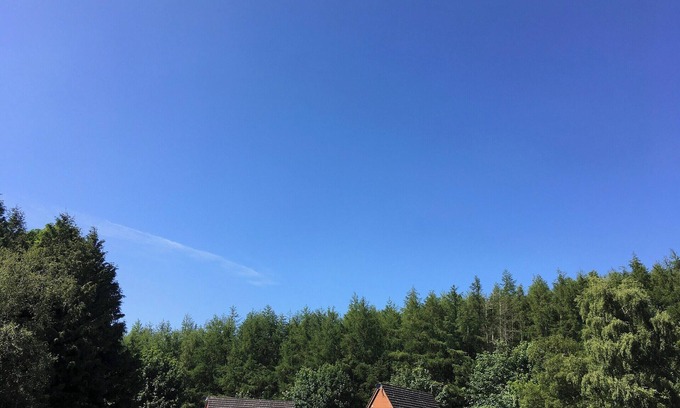 Fortrose Cottage | Thistle Lodge - UK7051
