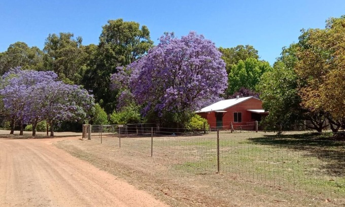 Peerabeelup Cottage | Three Bedroom Cottage - Sleeps 8 - Self contained 3 Bedroom Cottage 1 King, 1 Queen and 2 Bunks