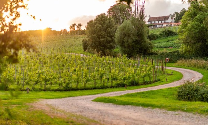 Newent Hotel | Three Choirs Vineyards